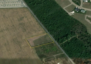 BALOTESTI - EDENLAND - ideal investitie - Teren 5.254 mp, lângă pădure - imagine 3