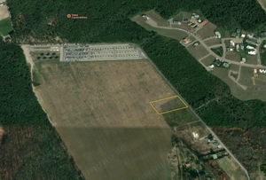 BALOTESTI - EDENLAND - ideal investitie - Teren 5.254 mp, lângă pădure - imagine 2