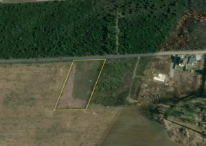 BALOTESTI - EDENLAND - ideal investitie - Teren 5.254 mp, lângă pădure - imagine 4