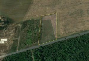 BALOTESTI - EDENLAND - ideal investitie - Teren 5.254 mp, lângă pădure - imagine 5