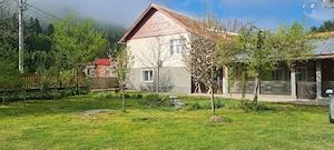 vand casa cu teren in muntii Apuseni - imagine 5