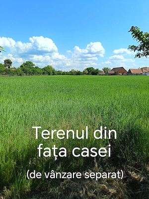 Casă de vacanță la marginea satului Susag - Refugiu liniștit la țară și potențial de extindere  - imagine 10