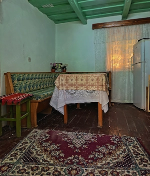Casă de vacanță la marginea satului Susag - Refugiu liniștit la țară și potențial de extindere  - imagine 3