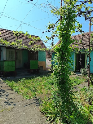 Casă de vacanță la marginea satului Susag - Refugiu liniștit la țară și potențial de extindere  - imagine 8
