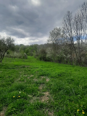 vind teren+cladiri in Slanic Prahova. - imagine 3