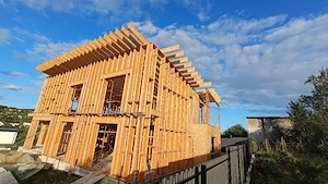 Grinzi din lemn i joist 