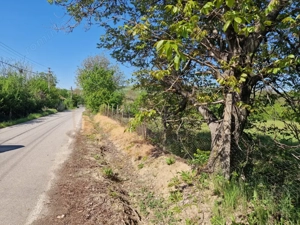 Teren  intravilan Calinesti - Arges