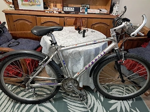 Bicicletă de bărbați 