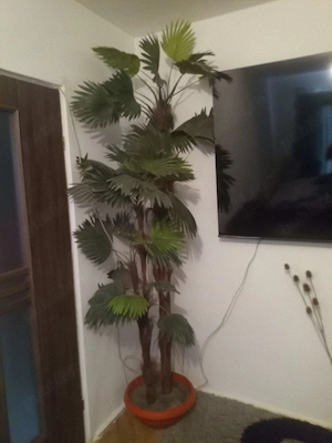 Vind Palmiere Artificiale 