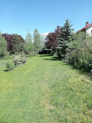 Direct Proprietar-Propietate cu  potențial investițional, Golesti (Ștefănești) Argeș, 1758 mp teren - imagine 2