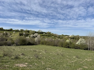 Teren intravilan 500 mp sau 1000 mp în Zarnesti-Tohanita incepand de la 17500 euro - imagine 3