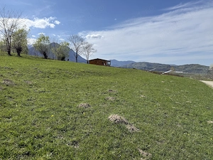Teren intravilan intre 500 si 1000 mp cu vedere panoramica  in zona Bran Tohanita - imagine 3
