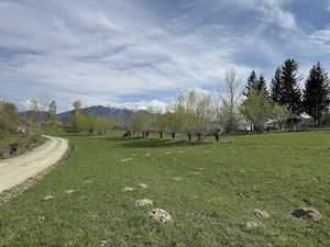 Teren intravilan intre 500 si 1000 mp cu vedere panoramica  in zona Bran Tohanita - imagine 4