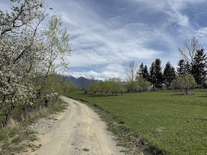 Teren intravilan intre 500 si 1000 mp cu vedere panoramica  in zona Bran Tohanita