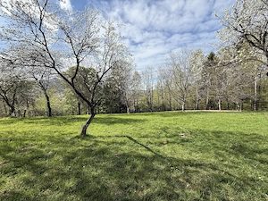 Teren intravilan 763 mp in zona Bran-Tohanita,judetul Brasov  - imagine 10
