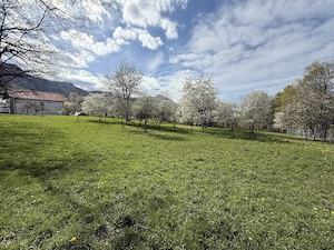 Teren intravilan 763 mp in zona Bran-Tohanita,judetul Brasov  - imagine 6