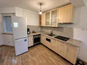 Casă P+ M, 5 camere de vânzare în Tilecuș (com. Tileagd), jud. Bihor - imagine 4