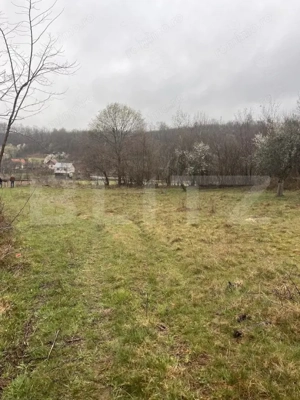 Teren extravilan de vanzare, 2.900 mp, in sat Sintesti, comuna Margina