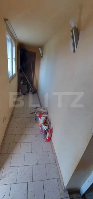 Casa  la Silagiu/Buzias - imagine 6