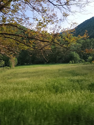 vand teren extravilan  prețul este ușor negociabil  - imagine 4