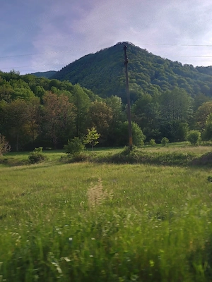 vand teren extravilan  prețul este ușor negociabil  - imagine 3