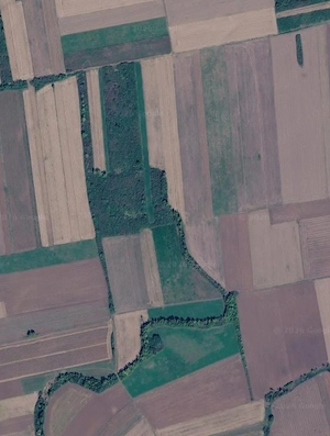 Teren agricol, extravilan, comuna Tinca, 100 ha, cadastru funciar, intabulat, acte la zi