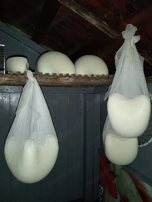 Vând cas de oaie la preț avantajos 