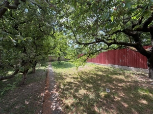 Casă de vânzare în Lugoj – Strada COMUNA DIN PARIS - imagine 6