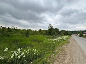 Teren 1000 mp în Mogoșoaia, la 5 minute de pădure - imagine 9