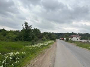 Terenul dintre 2 lacuri   1000 mp în Mogoșoaia, la 5 minute de pădure