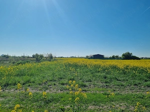 Teren extravilan 5.586 mp   Clinceni, Bragadiru, langa Bucuresti | Ideal investitie