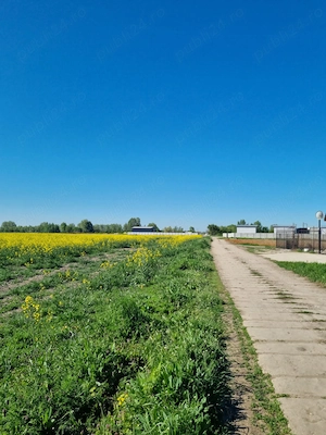 Teren extravilan 5.586 mp   Clinceni, Bragadiru, langa Bucuresti | Ideal investitie - imagine 4