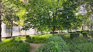 Inchiriez apartament 2 camere Tudor Vladimirescu - imagine 6