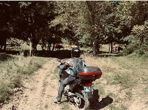 Honda Transalp 650 XLV   echipată (crashbar, topcase, cric central), fiabilă, pregătită de drum - imagine 5