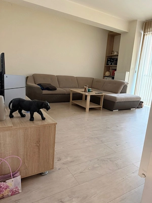 Iris 5 apartament cu 2 camere langa Agronomie  - imagine 5