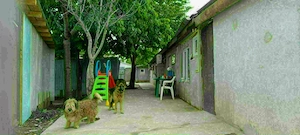 Casa + curte Zona Delfinului sector 2 PROPRIETAR - imagine 5