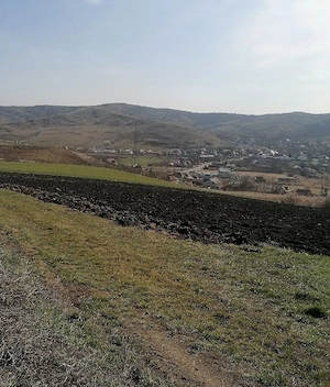 Vând 11600 mp. teren în Gadalin (Jucu) suprafață formata din 3 parcele-20 Eur mp neg. 