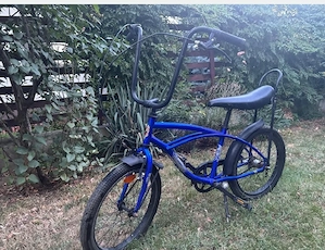 Bicicleta Pegas