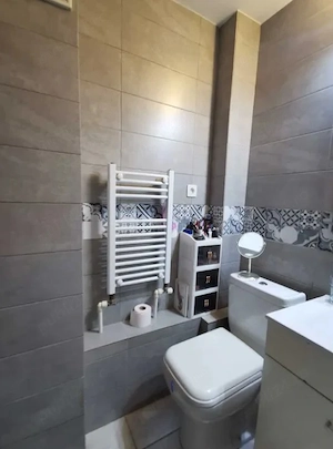 Apartament cu 1 camera in Tatarasi-Doi Baieti - imagine 2