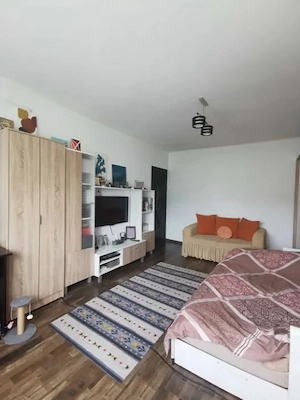 Apartament cu 1 camera in Tatarasi-Doi Baieti - imagine 7