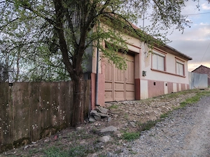 Casa de vanzare in Bozovici