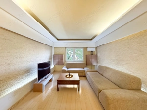 Apartament mare si spatios, cu centrala proprie. Unirii, Nerva Traian. - imagine 8