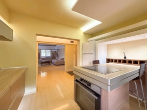 Apartament mare si spatios, cu centrala proprie. Unirii, Nerva Traian. - imagine 6