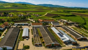 FILM! +25.400mp teren+Complex agrozootehnic cu traditie, accesorizat+ potential A,Borosneu - imagine 7