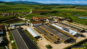 FILM! +25.400mp teren+Complex agrozootehnic cu traditie, accesorizat+ potential A,Borosneu - imagine 17