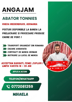 Locuri de munca ABATOR Germania