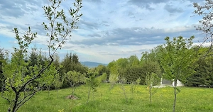 Vând teren intravilan schimb cu apartament in Sighet sau Baia Mare+diferenta din partea mea - imagine 3
