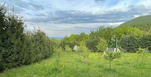 Vând teren intravilan schimb cu apartament in Sighet sau Baia Mare+diferenta din partea mea - imagine 5