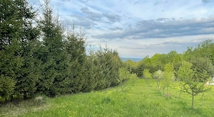 Vând teren intravilan schimb cu apartament in Sighet sau Baia Mare+diferenta din partea mea - imagine 4