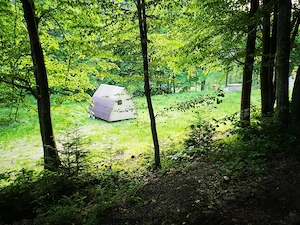Teren la munte, Tarcau- Piatra Neamt